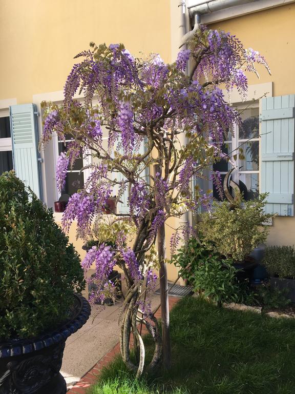 Chambres D'Hote Le Clos De L'Argolay Charolles Εξωτερικό φωτογραφία